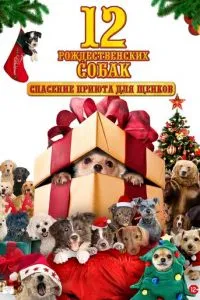 12 рождественских собак: Спасение приюта для щенков
